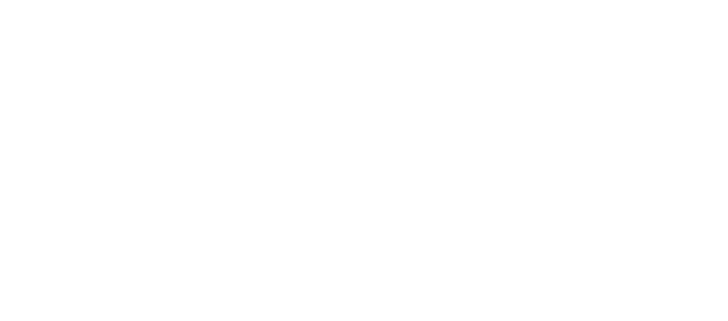 JYU EMBA